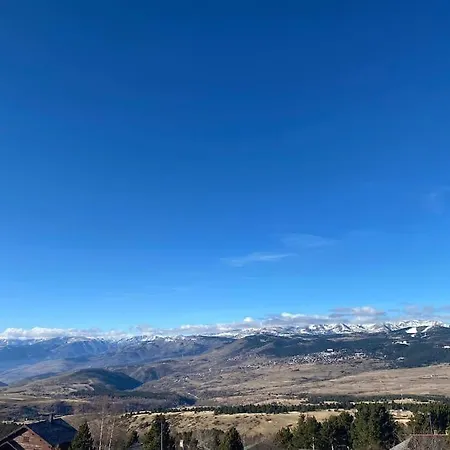 Cosy In/out Appartamento